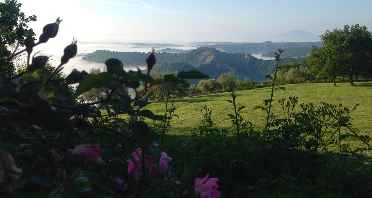 Bed And Breakfast Dopo Il Settimo Cielo Lubriano Zewnętrze zdjęcie