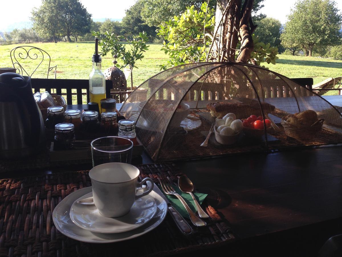 Bed And Breakfast Dopo Il Settimo Cielo Lubriano Zewnętrze zdjęcie
