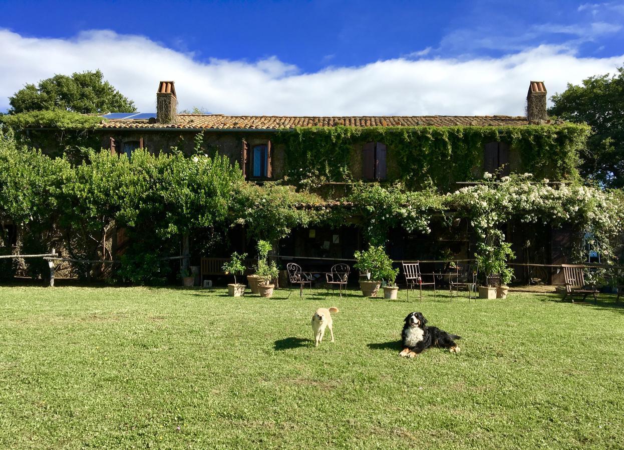 Bed And Breakfast Dopo Il Settimo Cielo Lubriano Zewnętrze zdjęcie